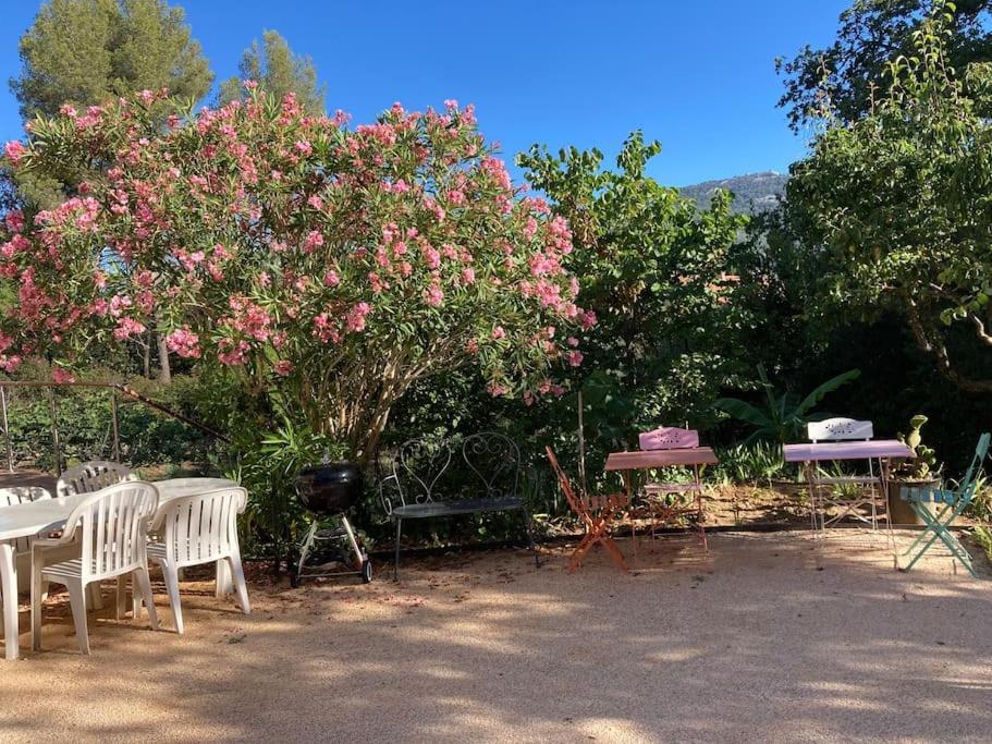 Haut De Villa Avec Terrasse Privative Jardin Et Parking Tout Pres Des Plages ตูลง ภายนอก รูปภาพ
