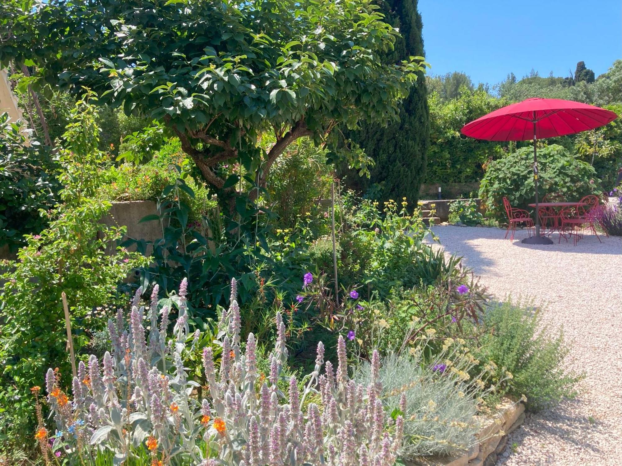 Haut De Villa Avec Terrasse Privative Jardin Et Parking Tout Pres Des Plages ตูลง ภายนอก รูปภาพ